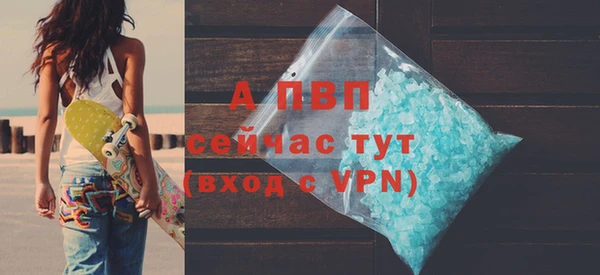 apvp Каменногорск