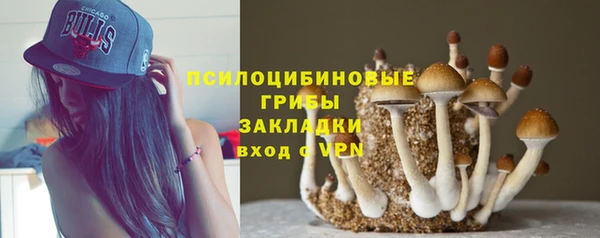 apvp Каменногорск